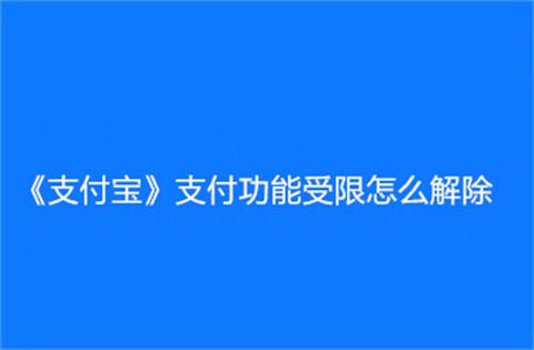 支付宝支付功能受限解除方法